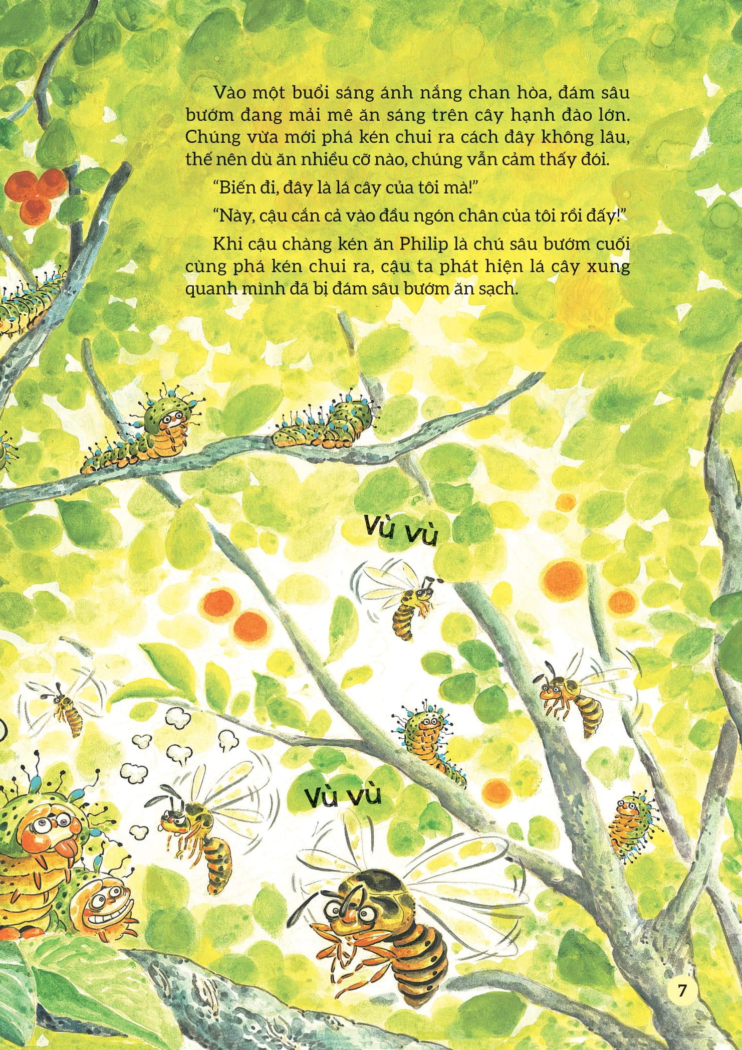 Sách - Truyện Tranh Khoa Học Về Các Loài Côn Trùng - Anh Chàng Kiên Định - Bướm Đêm Chim Công Khổng Lồ