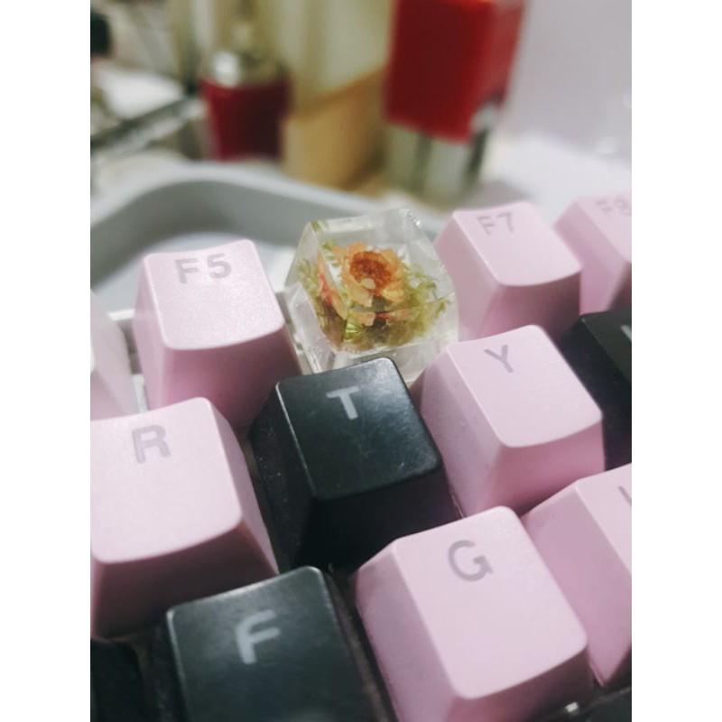 Keycap 1u danhf cho Resin hoa Glixia Brazil - Nút keycap bàn phím cơ trong hình hoa Glixia Brazil