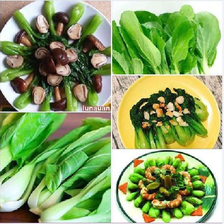 Combo 3 gói hạt giống rai cải chíp xanh F1