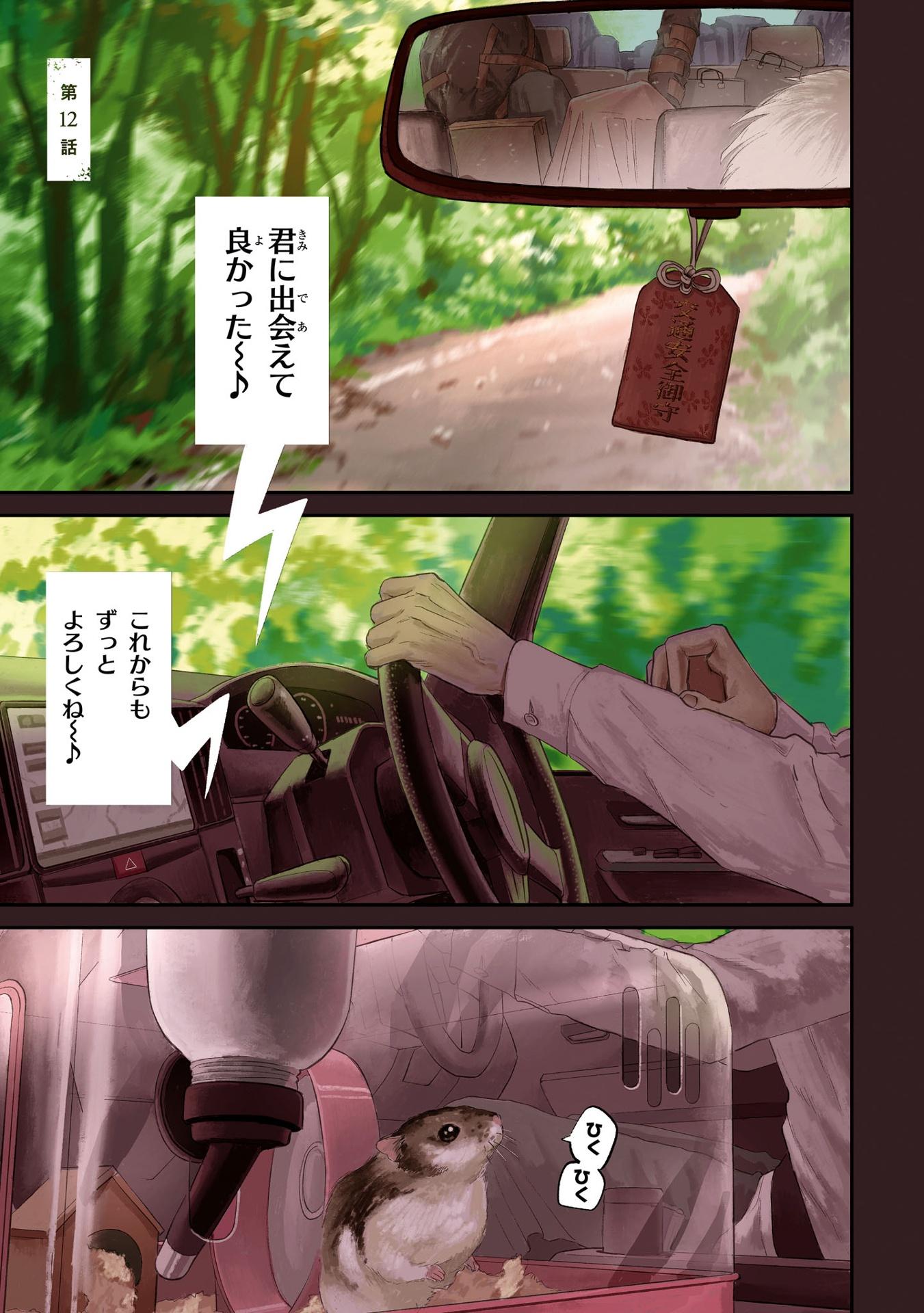 Hikaru Ga Shinda Natsu 3 (Japanese Edition)