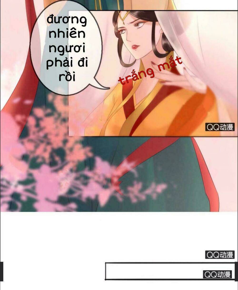 sủng phi của vương chapter 20 17