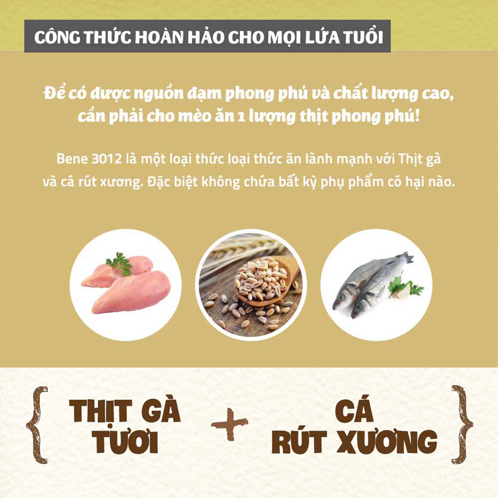 Thức ăn hạt cho mèo Natural Core C3 Bene 3012 | Thịt gà và Cá hồi | Tốt cho tiết niệu và tim mạch | Ngăn ngừa dị ứng | Chính hãng Hàn Quốc