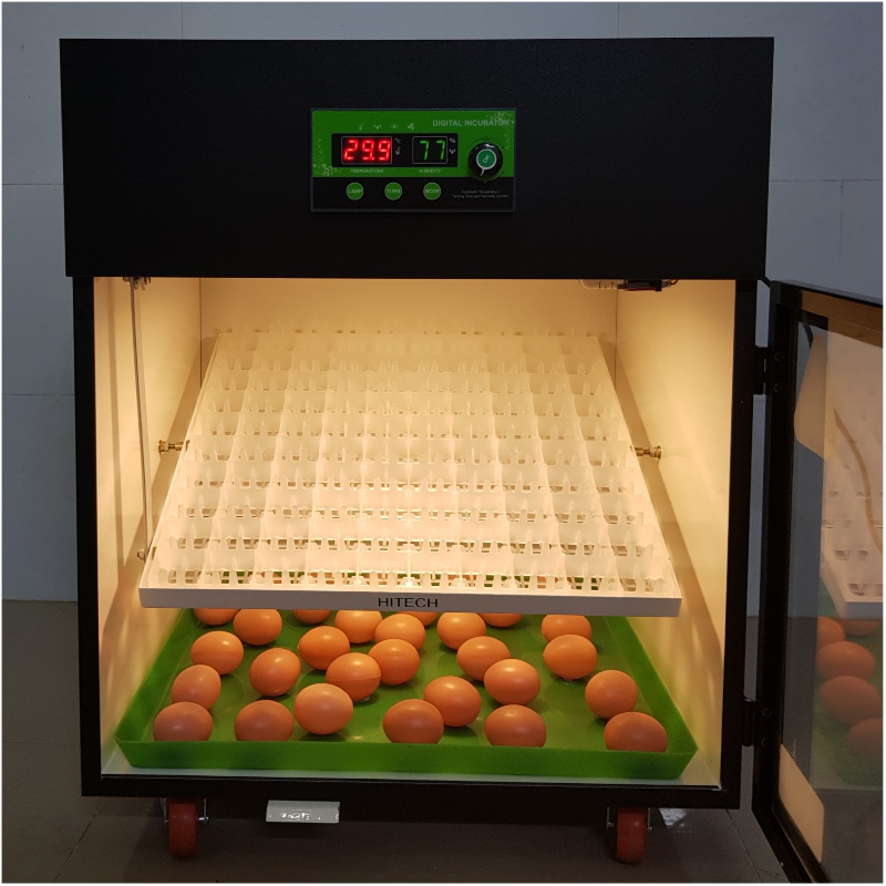 Máy ấp trứng 100 trứng-Chuyên ấp trứng giá trị cao