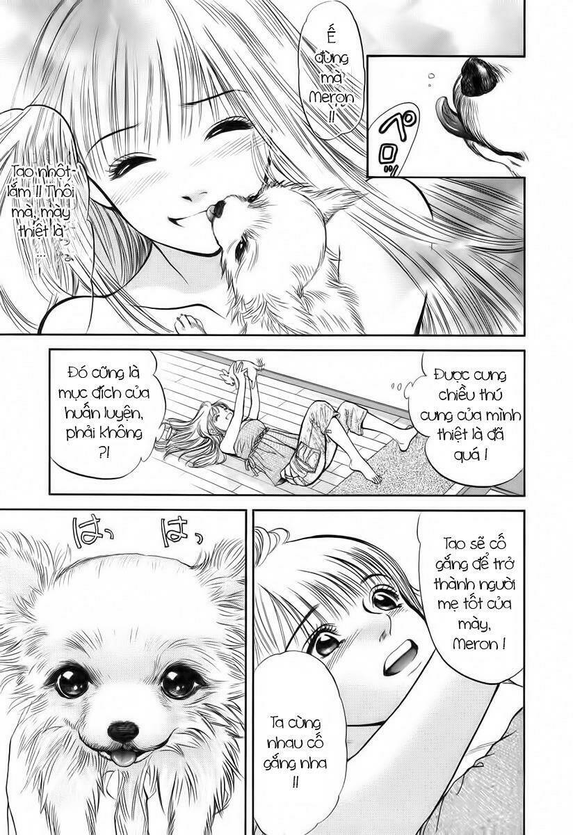 cô nàng yêu chó chapter 39 12
