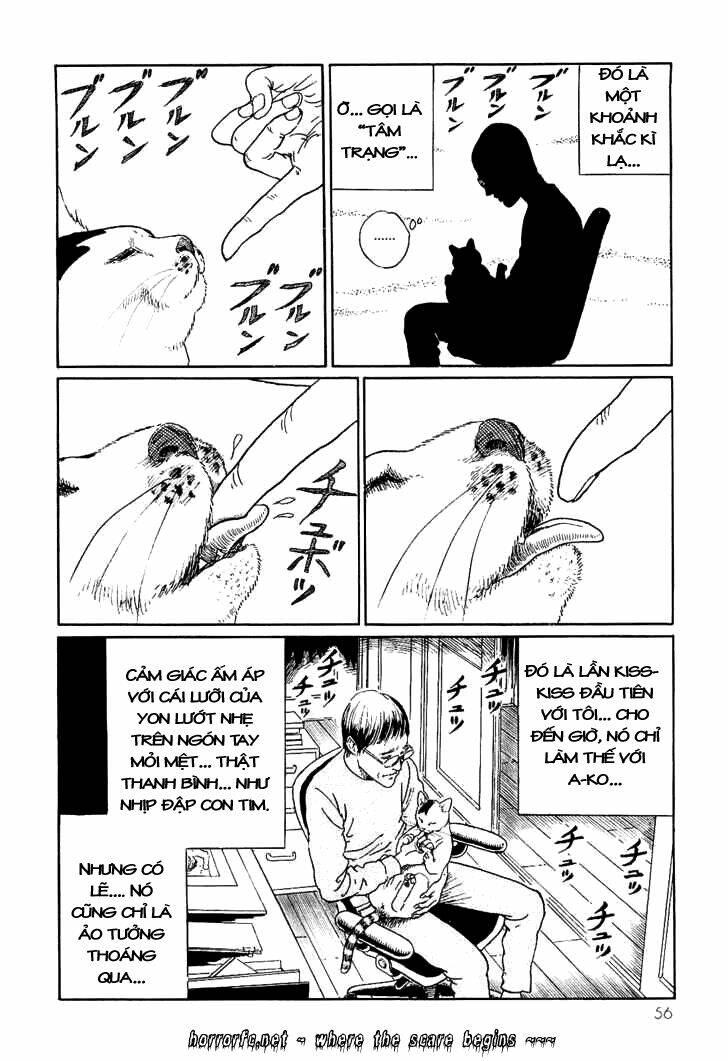 ito junji cat's diary chapter 5 10
