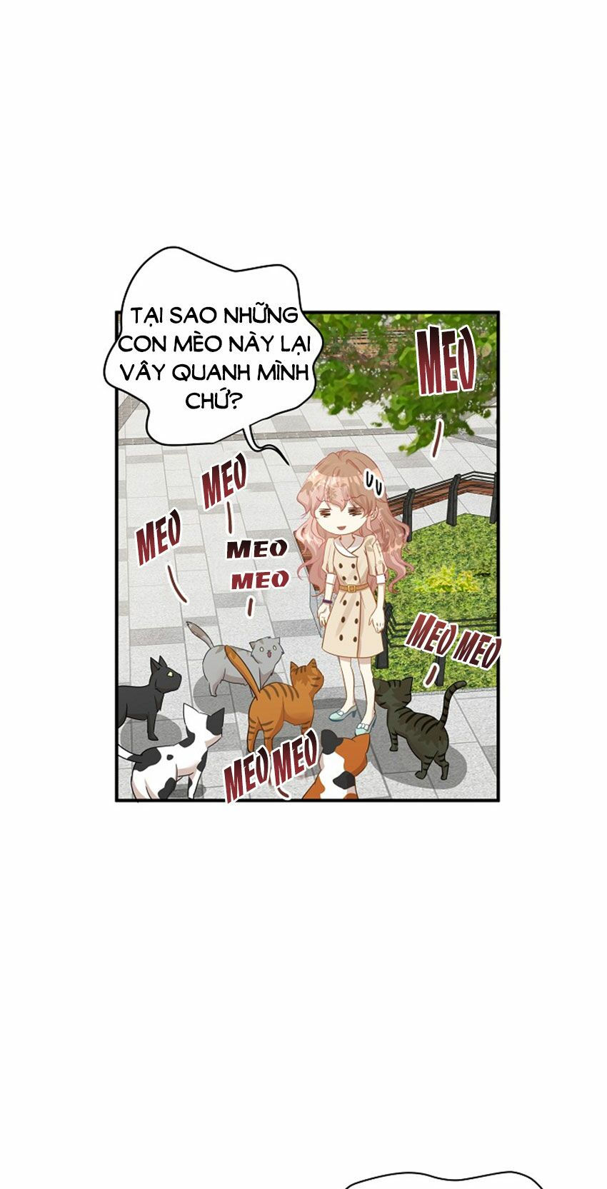 cuộc sống kỳ thú chapter 20 28