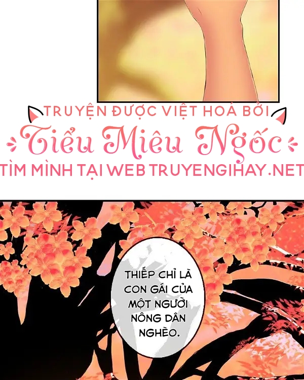 hoàng đế máu lạnh của tôi chapter 142 24