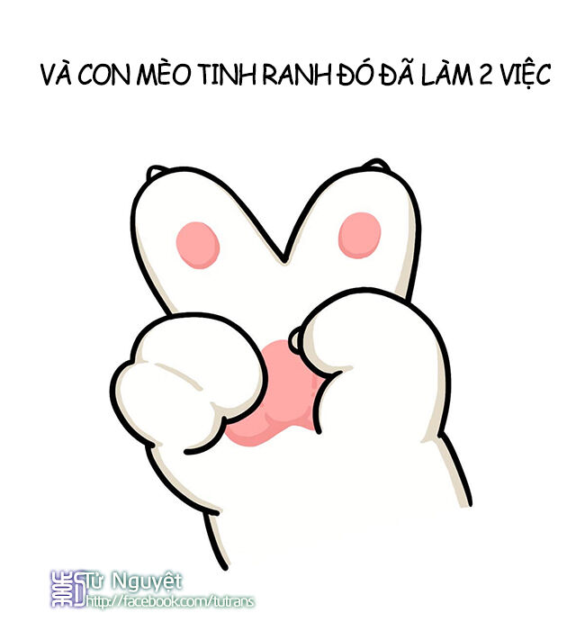 nếu lịch sử là một bầy mèo chapter 12 29