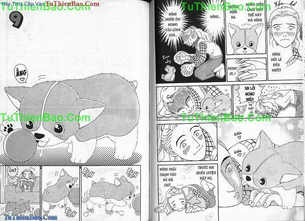 chó con mo mo chapter 1 33