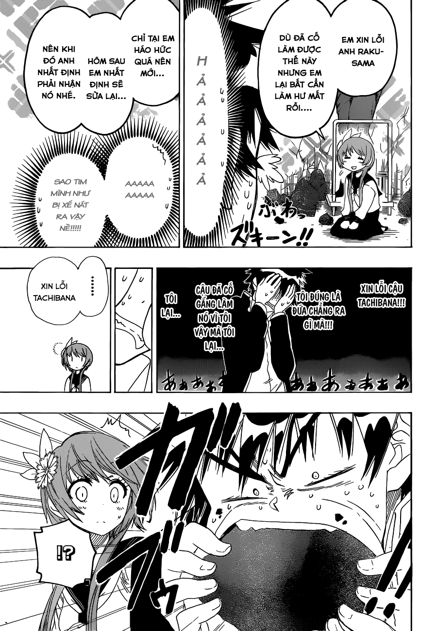 nisekoi - tình yêu giả tạo chapter 68 12