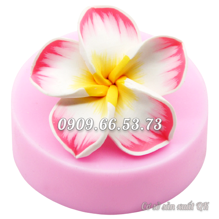 Khuôn rau câu silicon hoa sứ 5 cánh - Mã số 1608