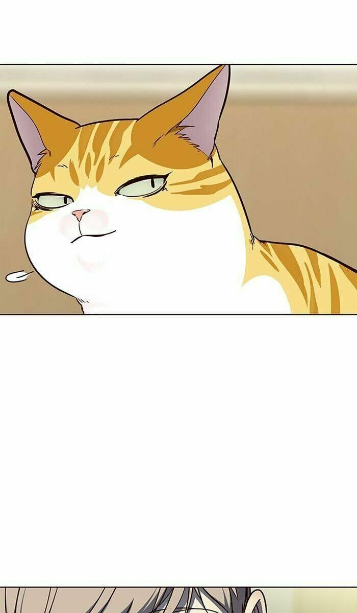 biến thân thành mèo chapter 61 79