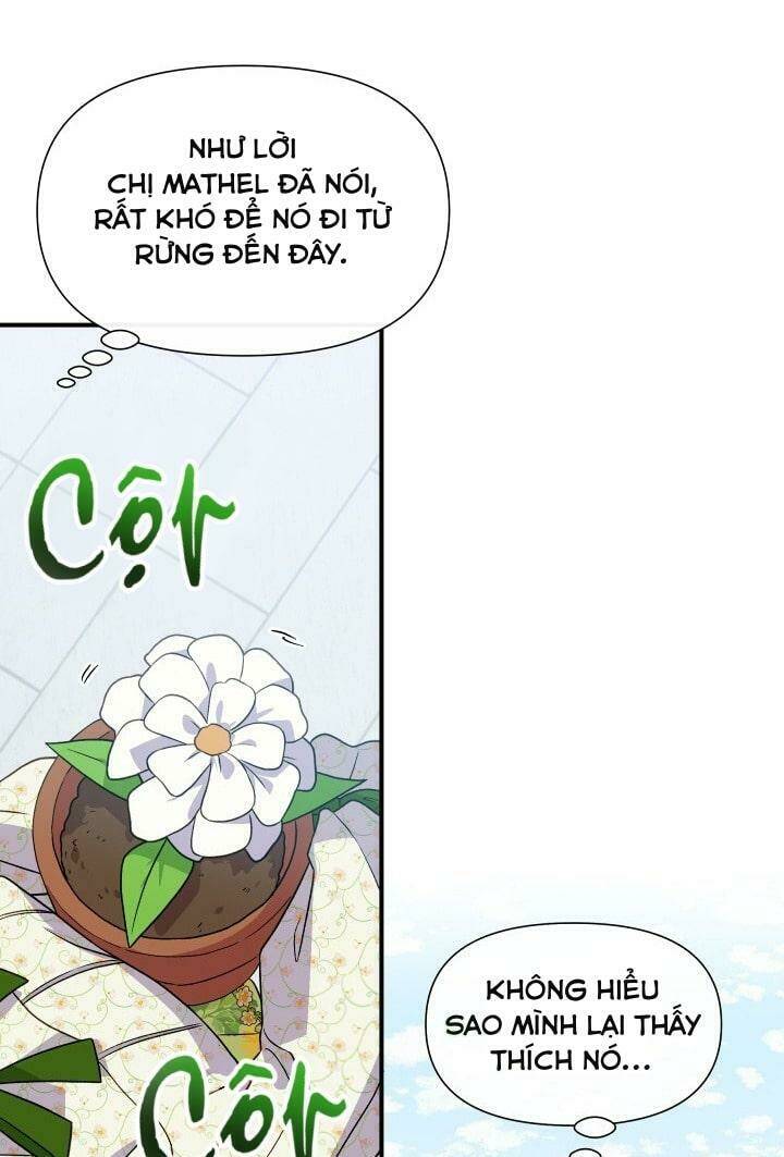 khế ước của nữ công tước quái vật chapter 132 8