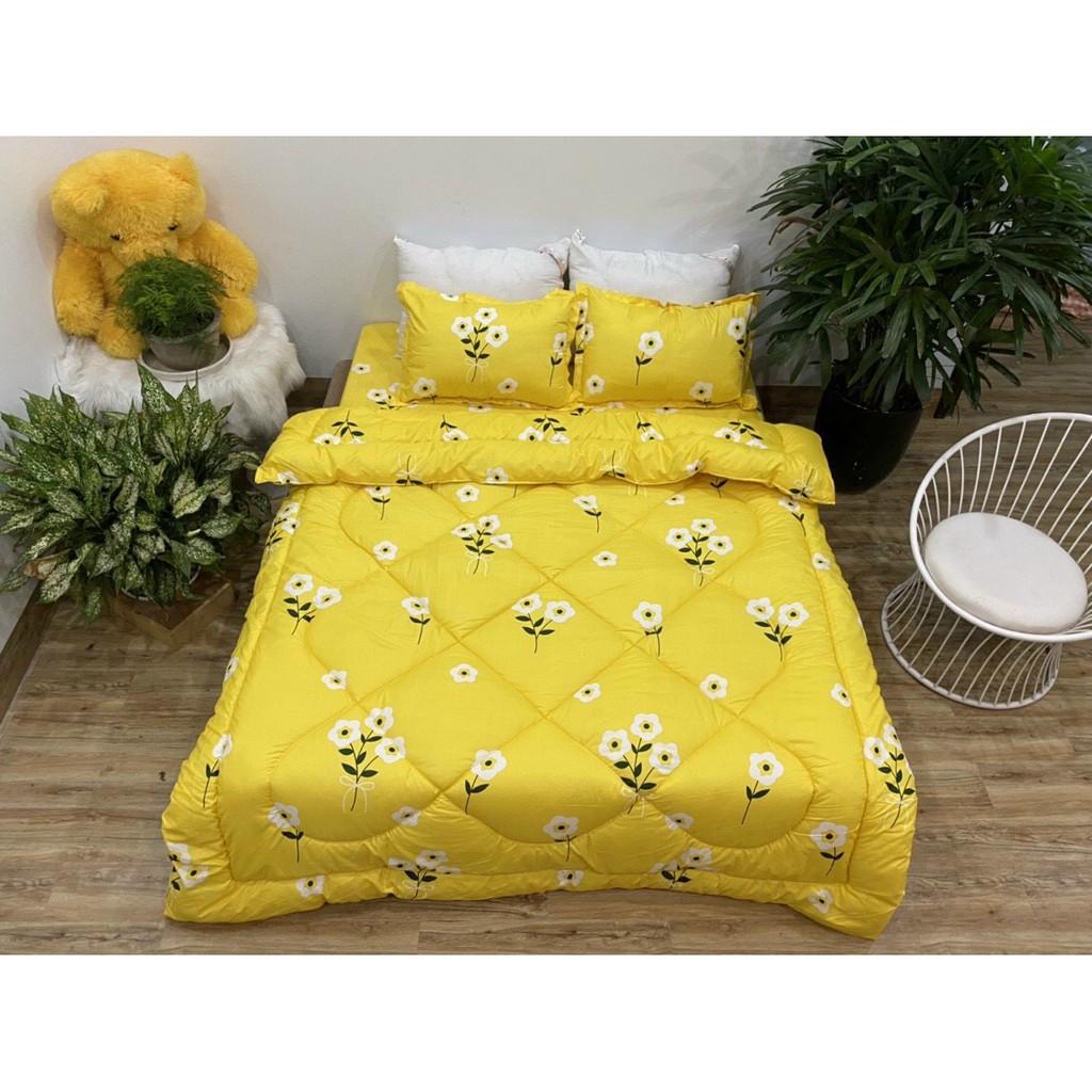 Trọn bộ 5 món chăn phao ga gối cotton poly nhập khẩu Hàn Quốc size giường 1m8*2m