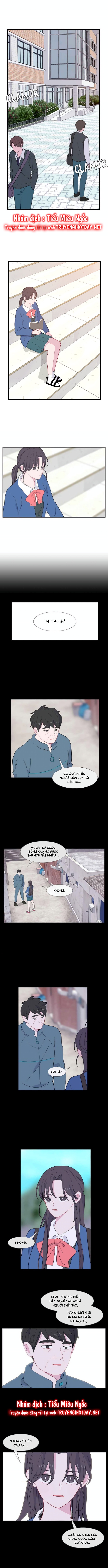 quay lại nhé chapter 69 5