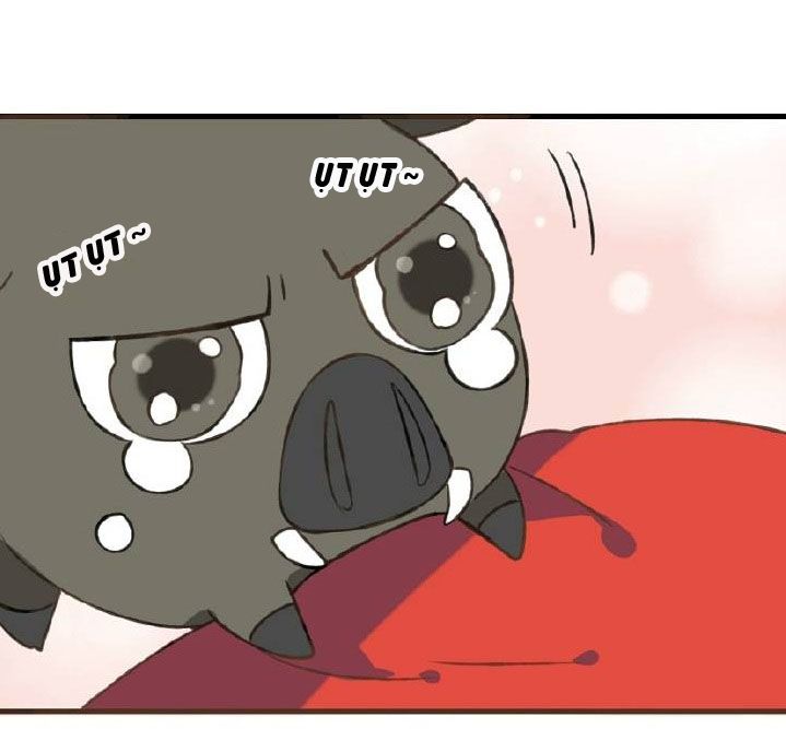 trên trời rớt xuống một hòa thượng ngốc chapter 16 19