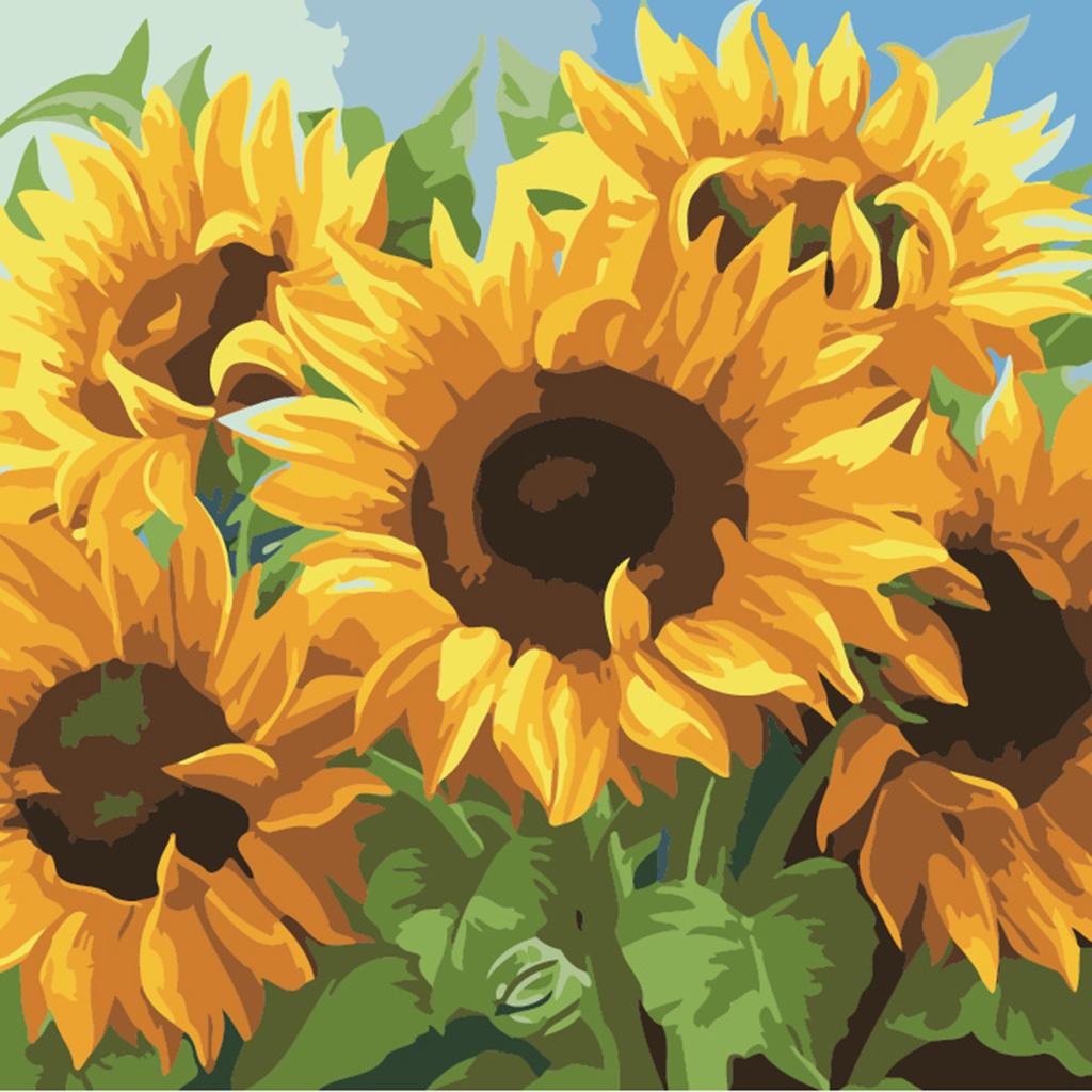 2 Set Oil Painting Paint by Number Kits for Kids Adults - Cats and Sunflower