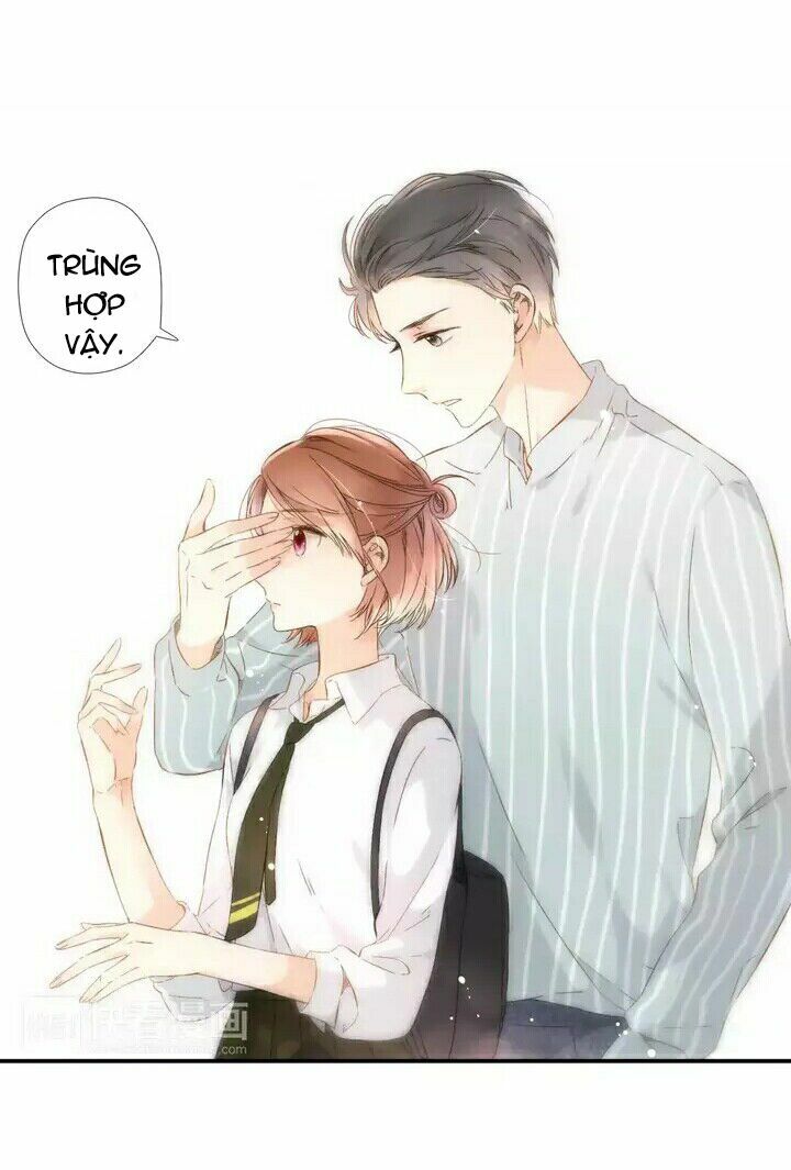 Tình yêu là màu hoa anh thảo chapter 24.2 38