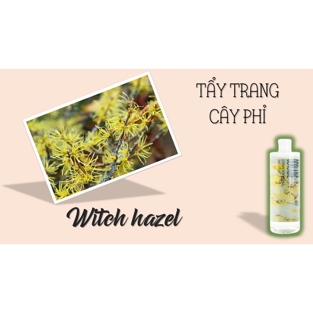 Combo Nước Hoa Hồng + Kem dưỡng ẩm cho da mụn Derladie Witch Hazel Perfect Vitamin