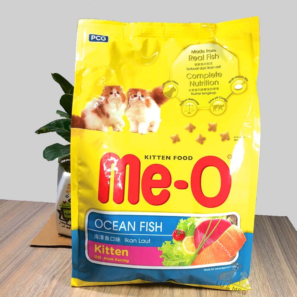 Hạt meo mèo con