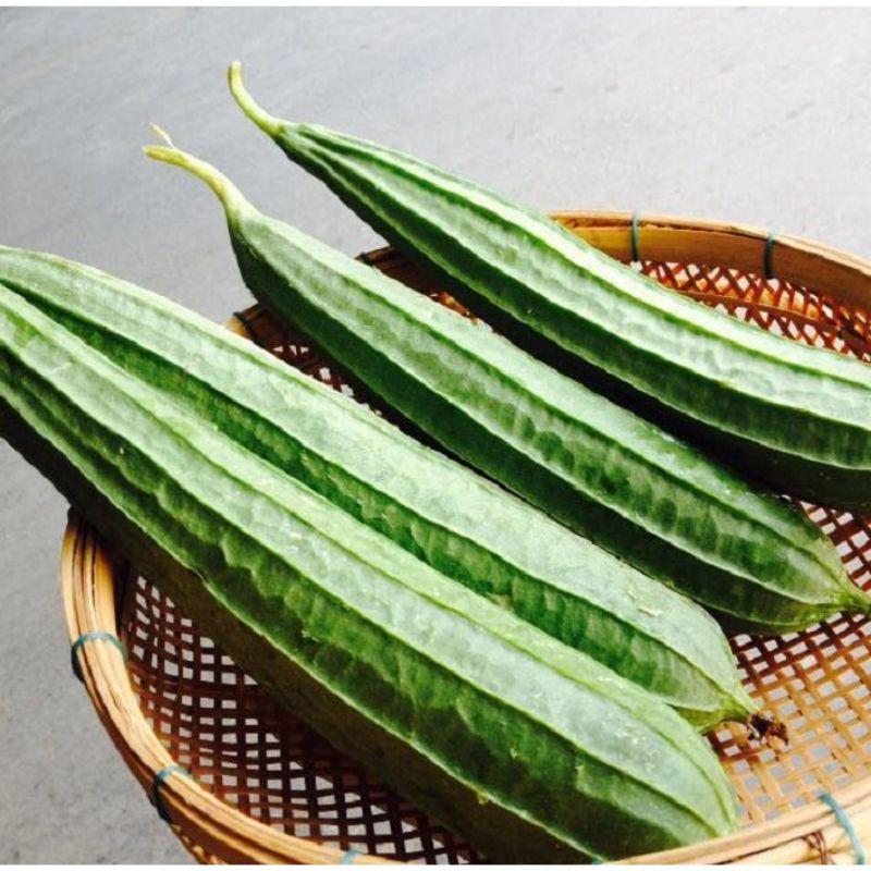 Hạt giống mướp khía , đóng gói 1gr