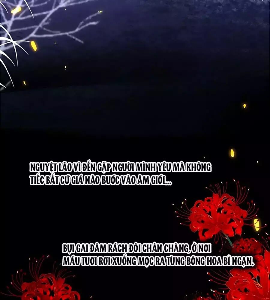 hoa chưa nở rộ chapter 20 5