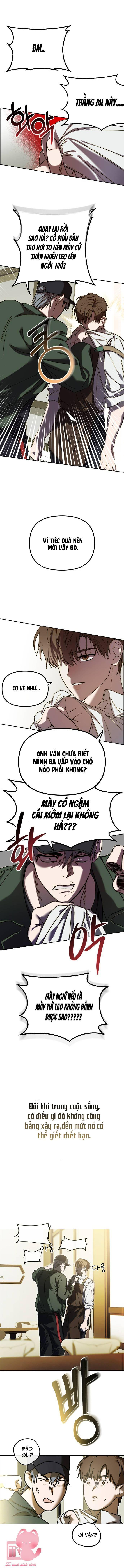 stardust project chapter 1 17