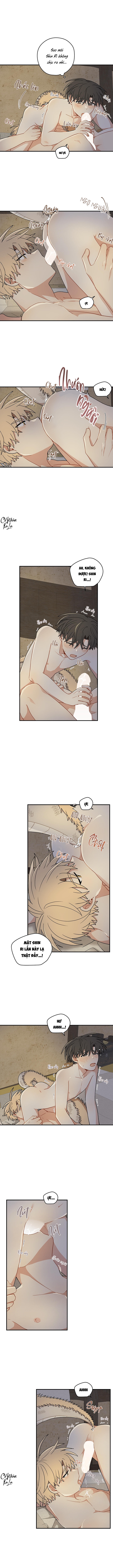 đường hoa liên kiều rơi chapter 53 6