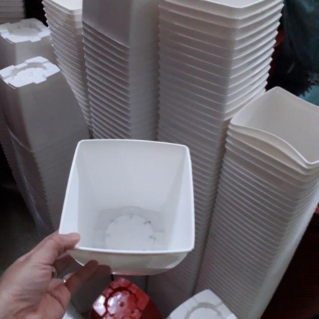 Chậu nhựa vuông trồng hoa cây cảnh văn phòng V20, chậu vuông màu trắng hàng loại 1 dày đẹp, KT 20x20x20cm.