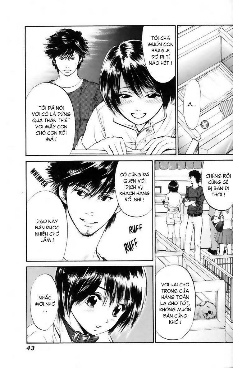 cô nàng yêu chó chapter 11 4