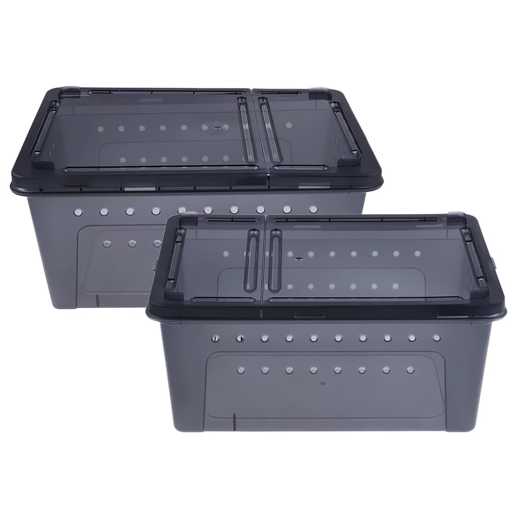 Insect Spider Snake Reptile Transport Breeding Feeding Case 25x17.5x11cm
