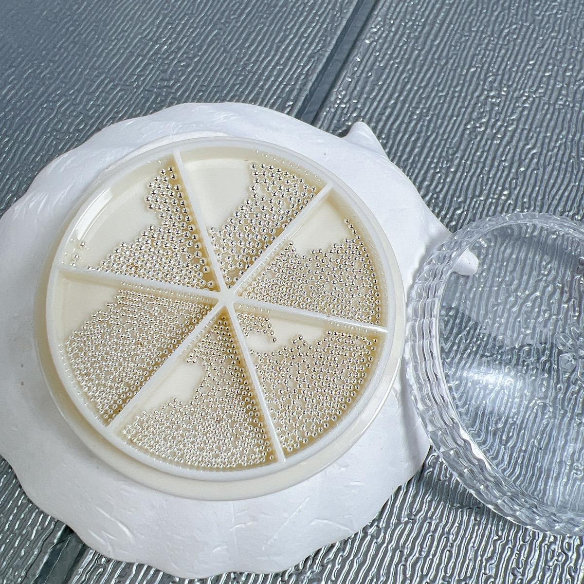 Khay Bi Kim Loại 6 Ngăn 6 Size Màu Trắng Bạc Đính Móng Làm Nail Phong Cách Hàn Quốc Không Gỉ Nữ Women