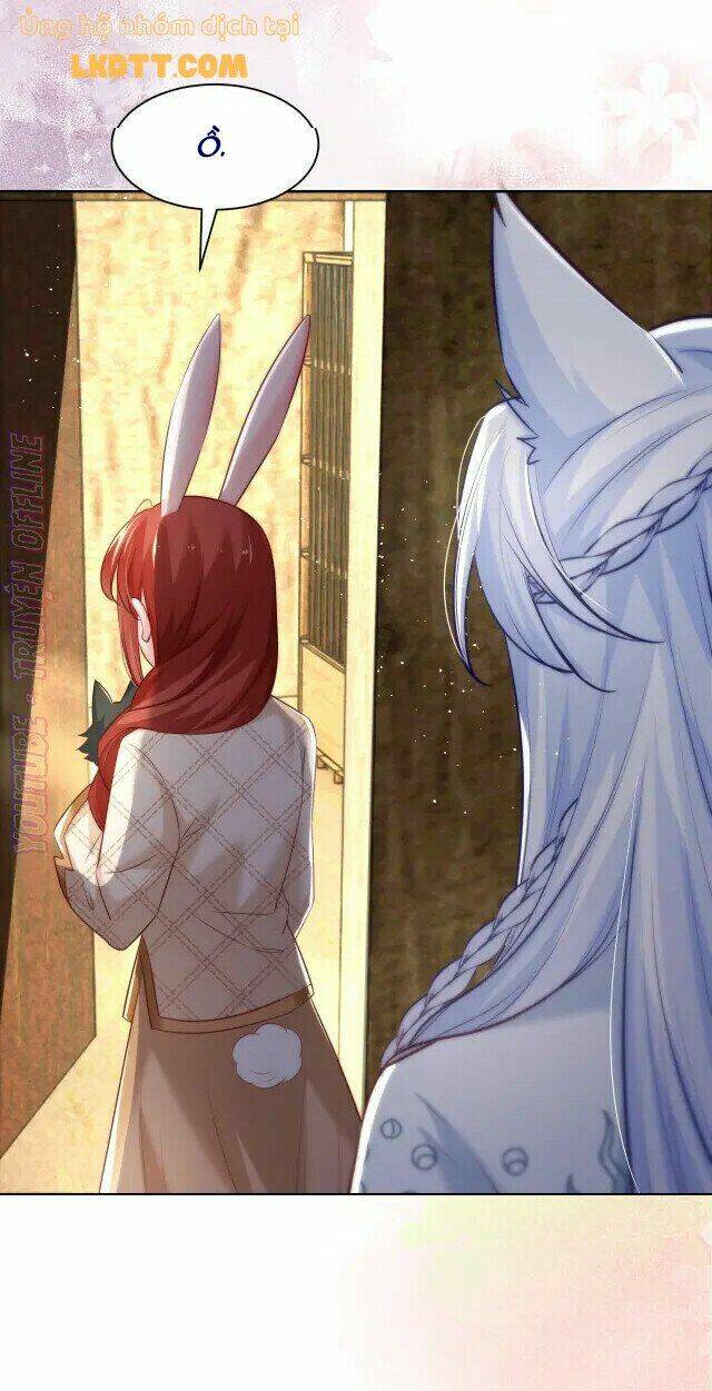 hắc hóa nam chính trực tuyến nuôi thỏ chapter 41 5