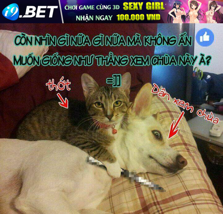 chào mừng đến với lớp học thượng đẳng: other school days chapter 1 18