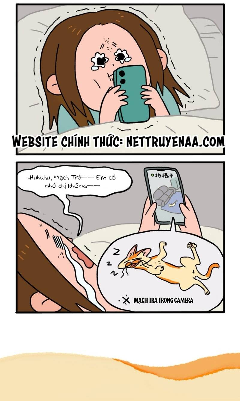 a mãn và mạch trà chapter 6 6