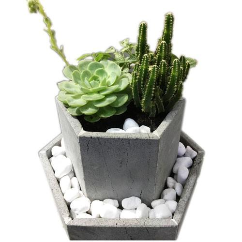Chậu hoa đá ong xám 20x20x30cm hình lục giác độc lạ 2 tầng