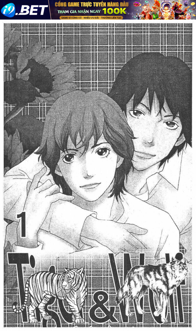 tigers and wolves chapter 1 1