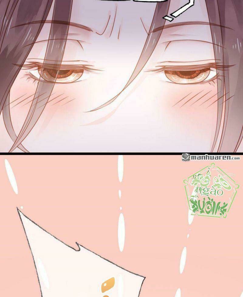 đứng yên ! phụng chỉ đánh cướp đây chapter 1 11