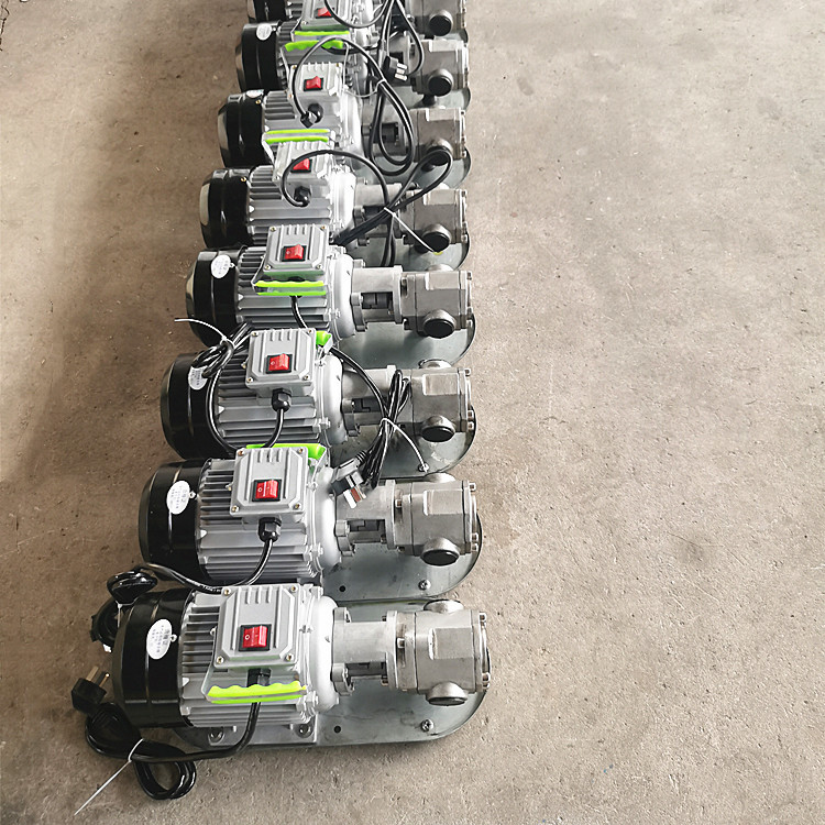 Bơm Bánh Răng Inox 304 WCB – Ngoại Khớp, Bền Bỉ &amp; Chịu Hóa Chất