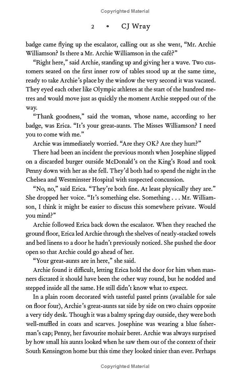 Sách ngoại văn: The Excitements - CJ Wray