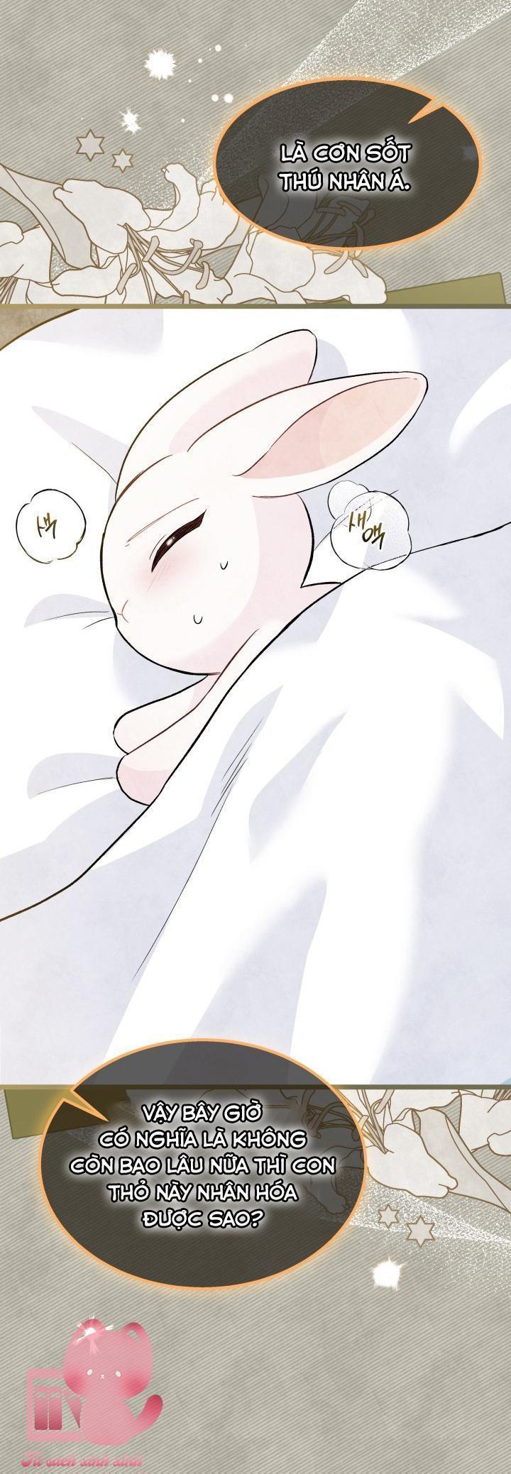 quan hệ cộng sinh giữa báo đen và thỏ trắng chapter 123 9