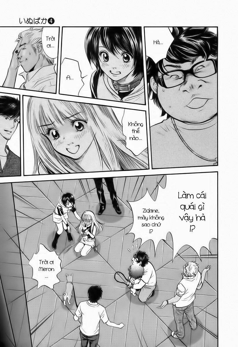 cô nàng yêu chó chapter 37 11