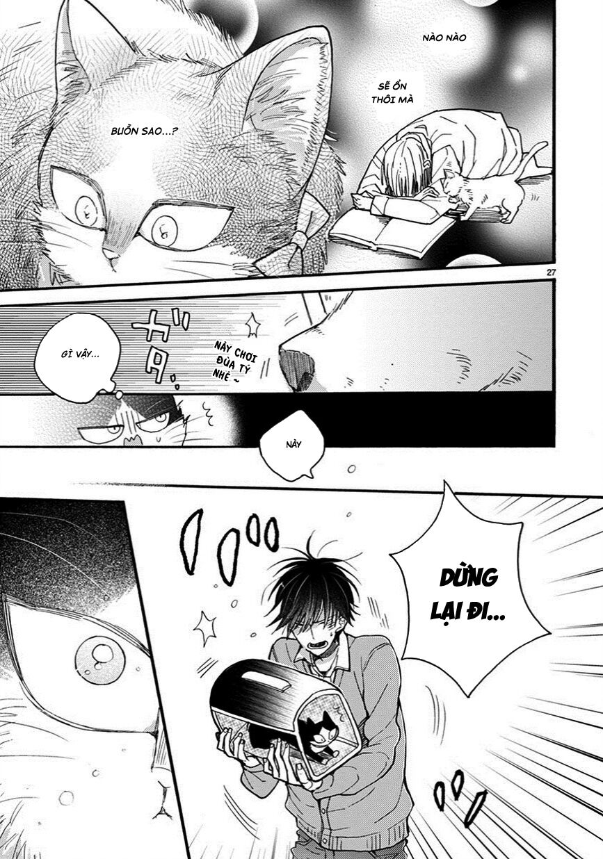 doukyonin wa hiza, tokidoki, atama no ue chapter 7.5 11