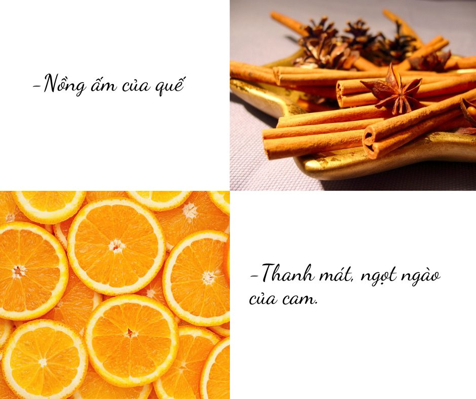 NẾN THƠM TINH DẦU QUẾ CAM ĐẾN TỪ THƯƠNG HIỆU R2D, LÀM TỪ DẦU CỌ, DẦU DỪA, TINH DẦU, NGUYÊN LIỆU TỰ NHIÊN, LÀNH TÍNH.