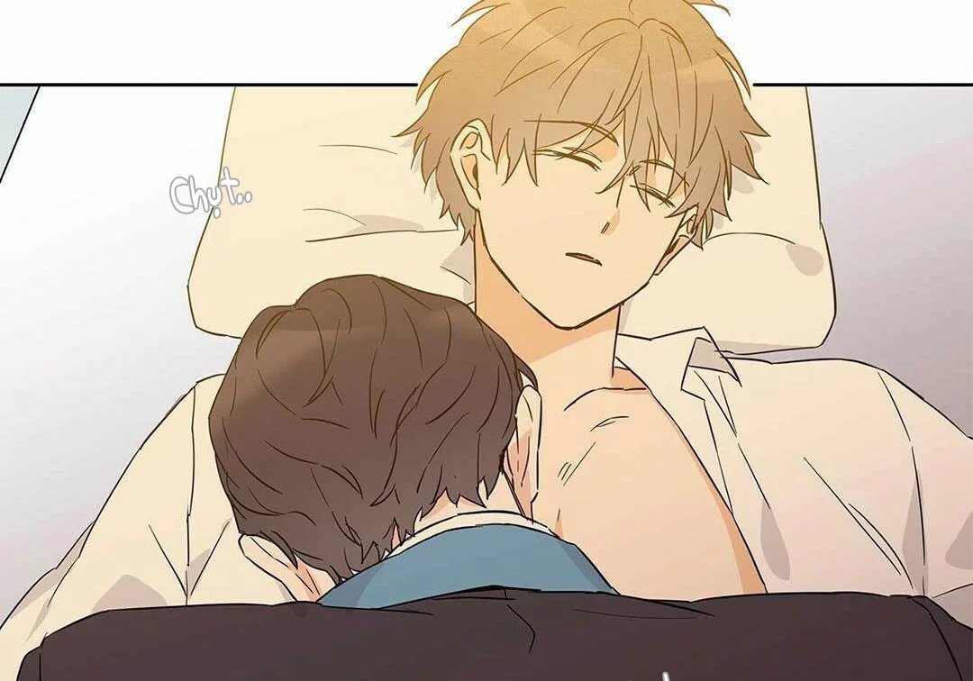 guide cấp b chapter 17 24