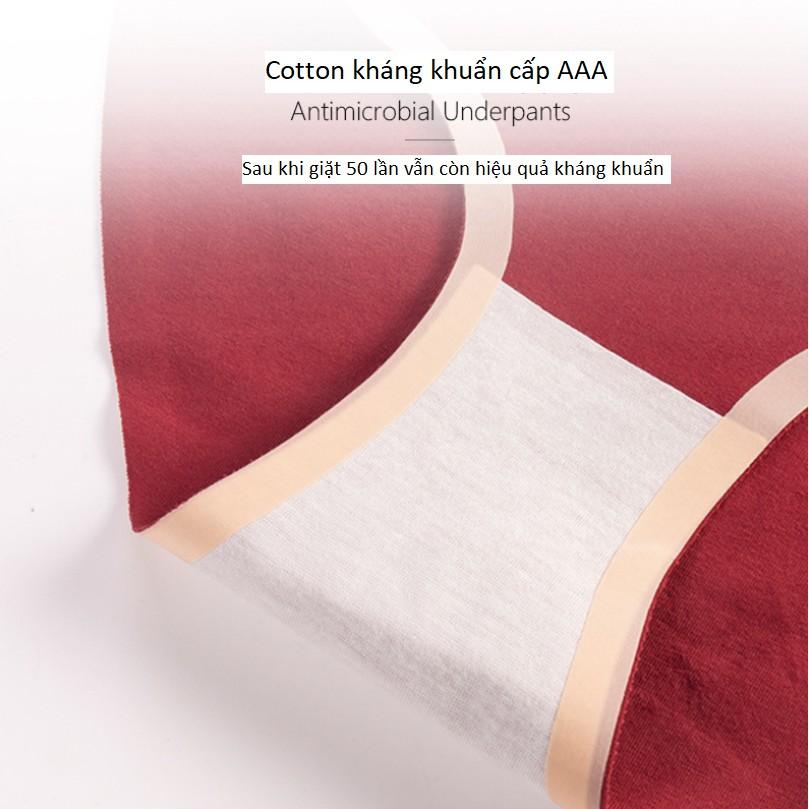 Quần Lót Cotton Kháng Khuẩn Không Đường May Chống Hằn Mới P096