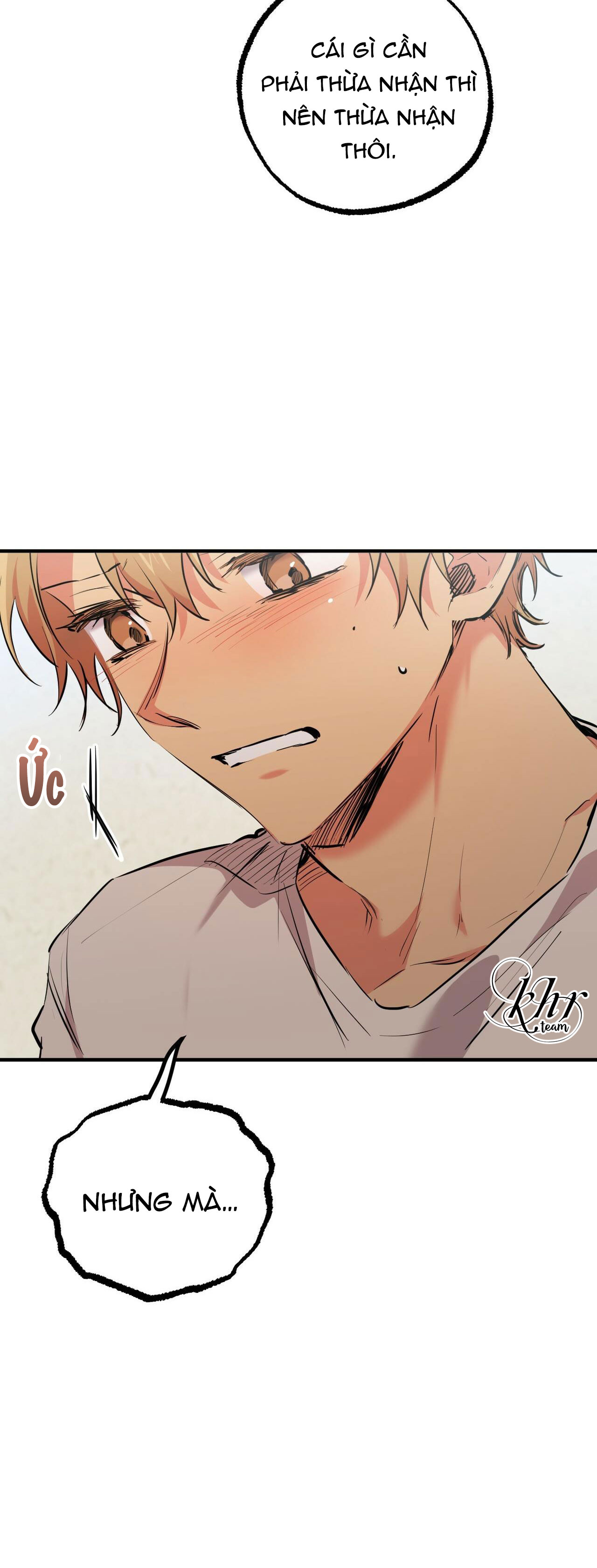 những chú thỏ của hapypy chapter 35 33