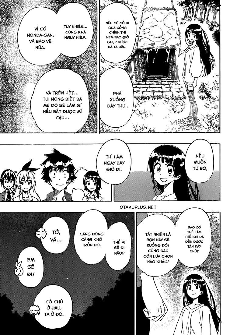 nisekoi - tình yêu giả tạo chapter 184 10