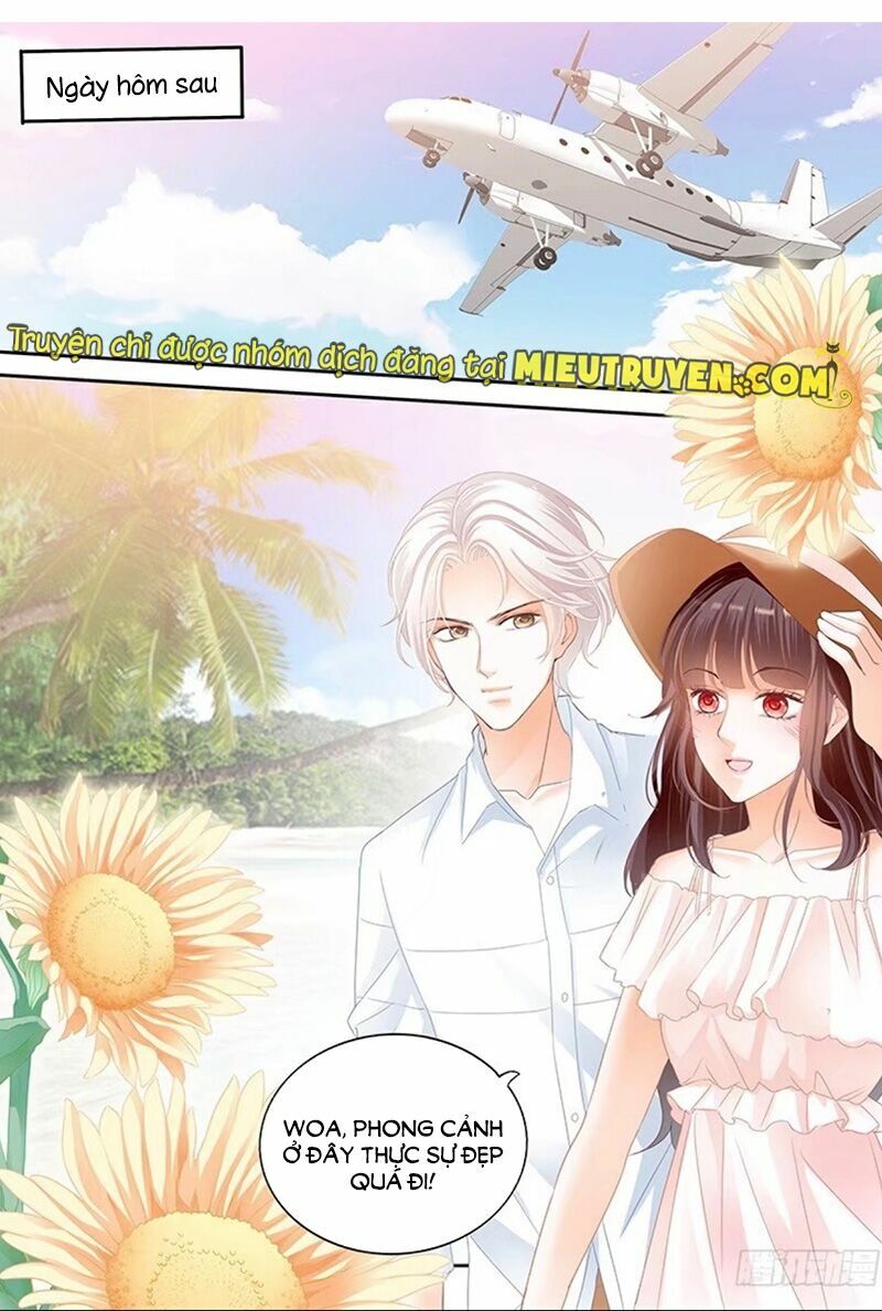 thiểm hôn kiều thê chapter 101 10