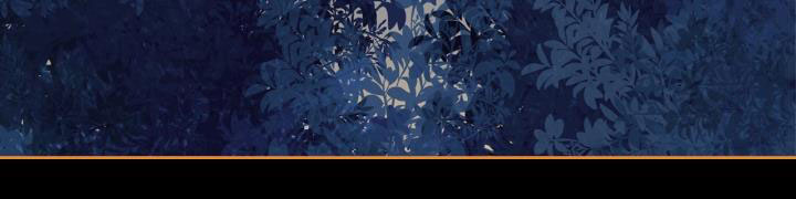 giết chết ác nữ phản diện chapter 61.1 337